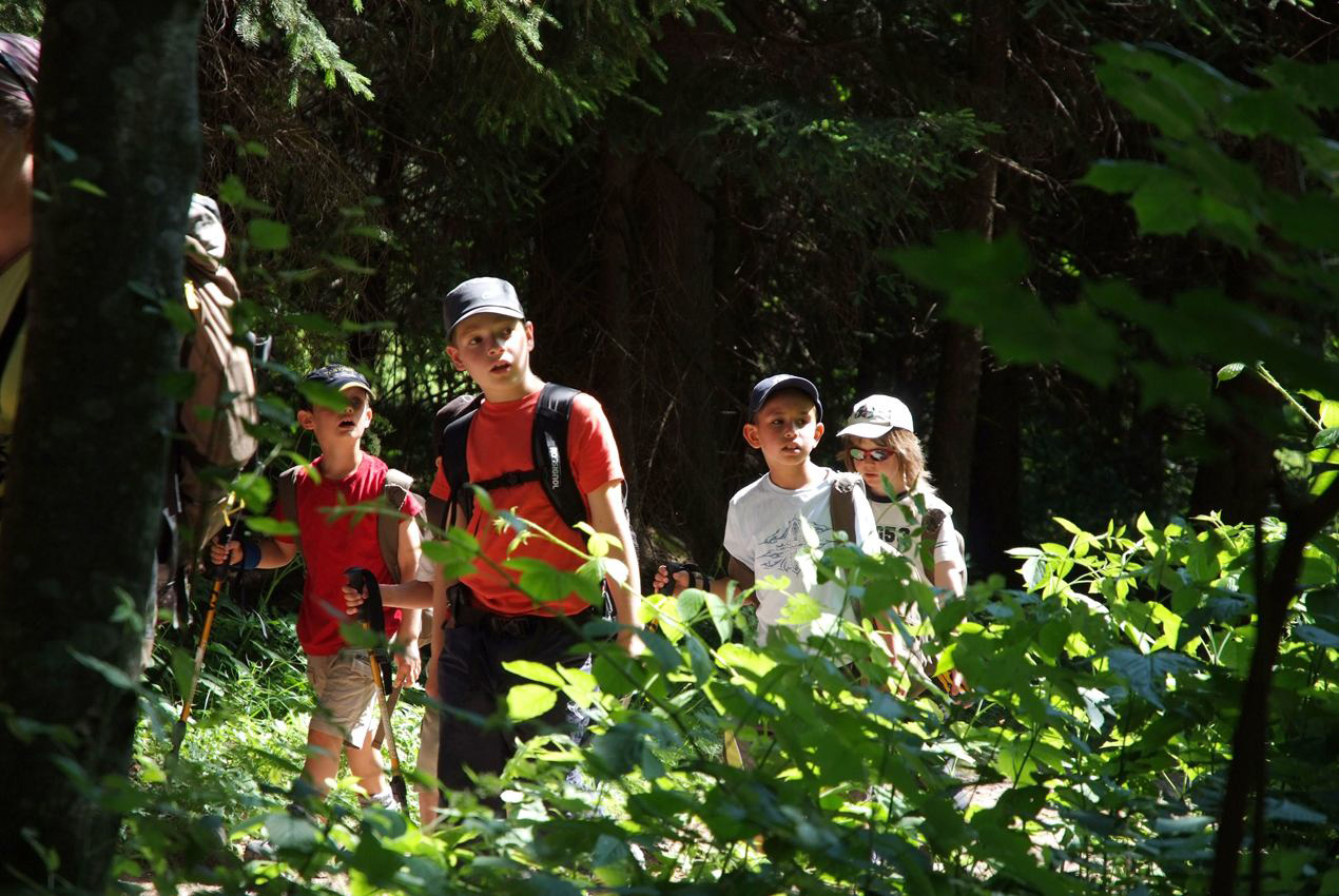 Il n’y a pas de bêtes au moins dans les bois ? On entend des bruits sur notre gauche ! (Thibault, Ilias et Shawn).