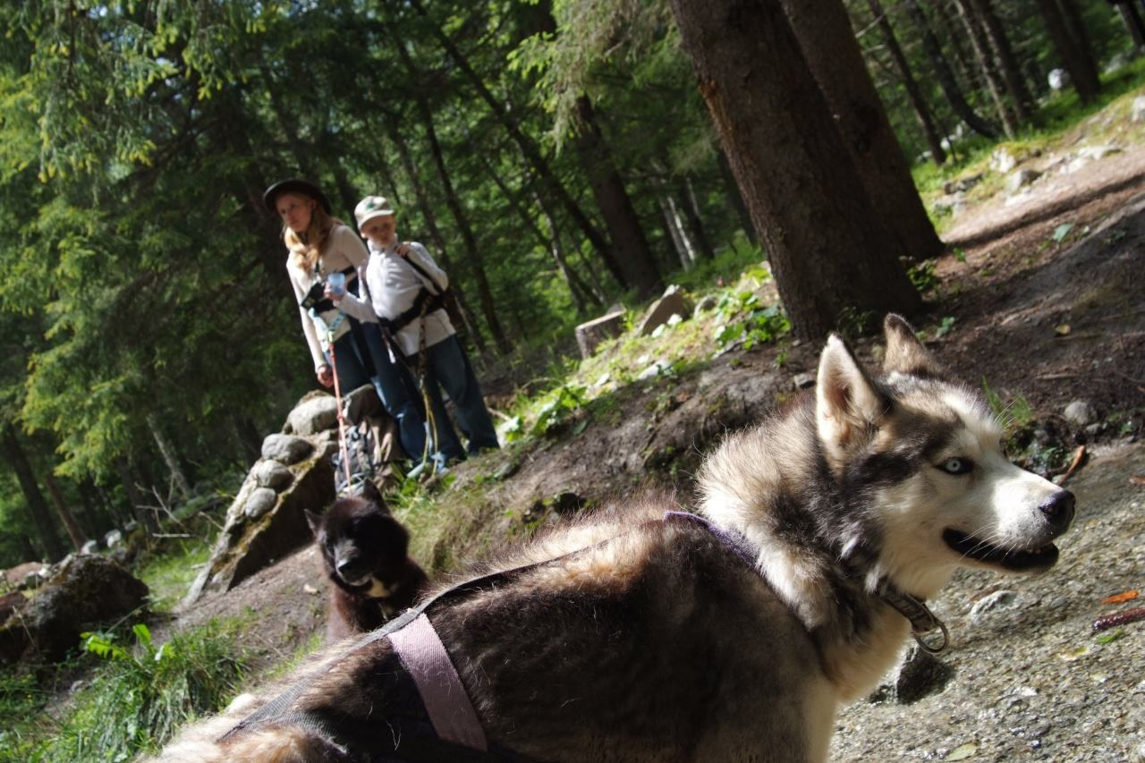 Petite équipe lumineuse qu’on verra à loups sages !  (Séverine et Aristide)
