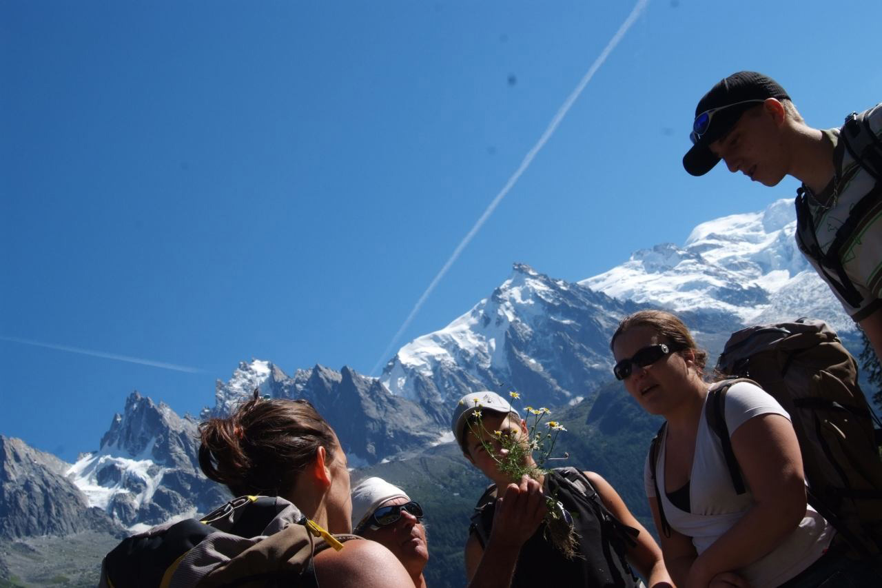 Gérard nous fait la leçon : « Sous le soleil, chardons ardents ! »