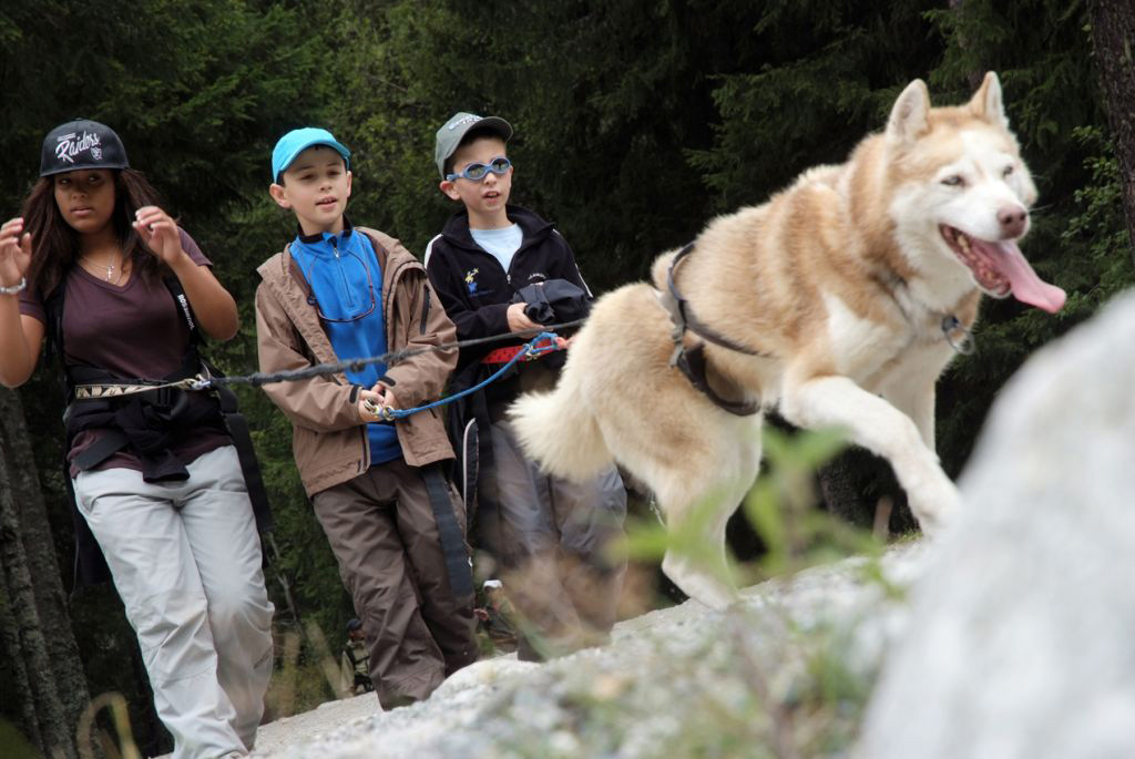 Trois champions pour un seul chien !