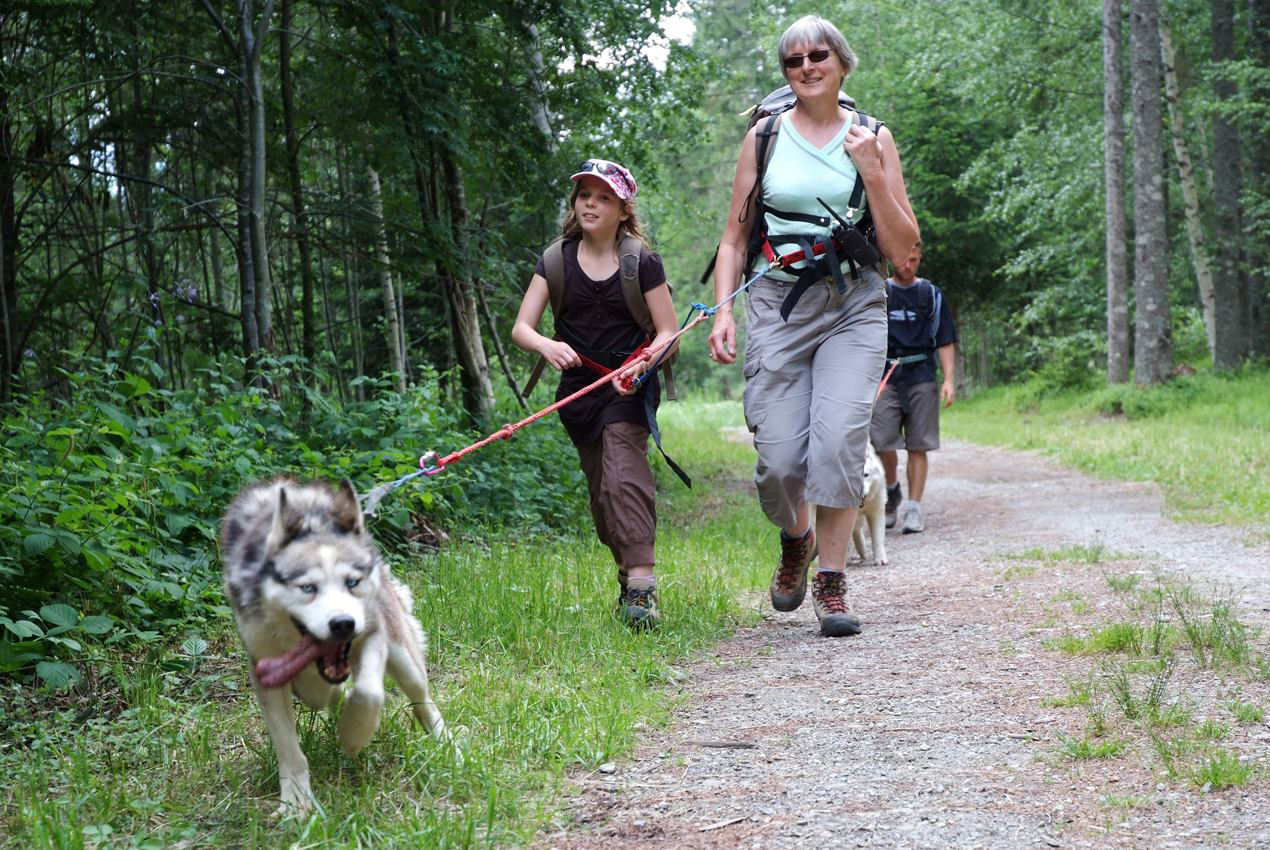Eh Maëva ! Ton chien va perdre sa langue dans pas longtemps !