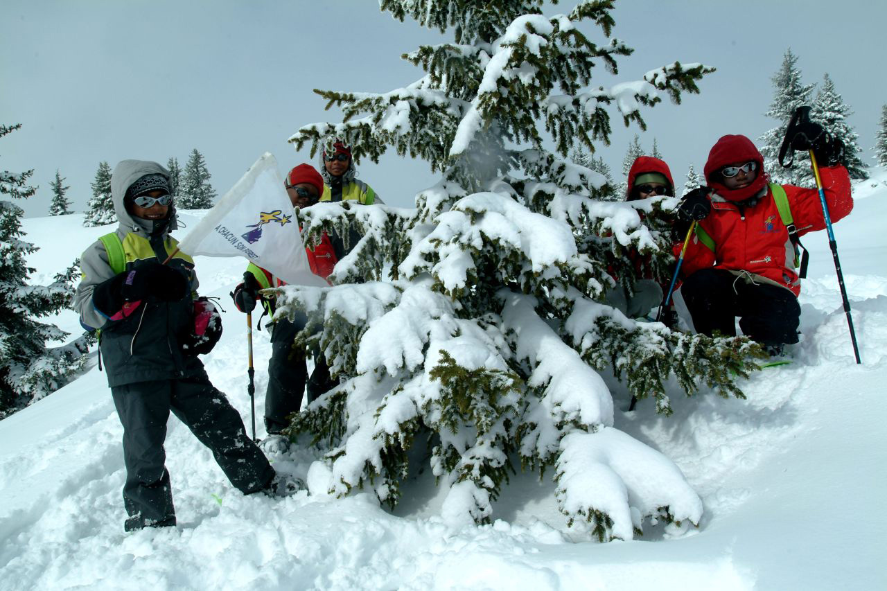 C’est toujours en Mars que les sapins produisent des champions !