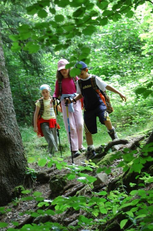 C’est reparti pour l’aventure ! emmenées par le téméraire Lucas, les filles empruntent les chemins de traverse !