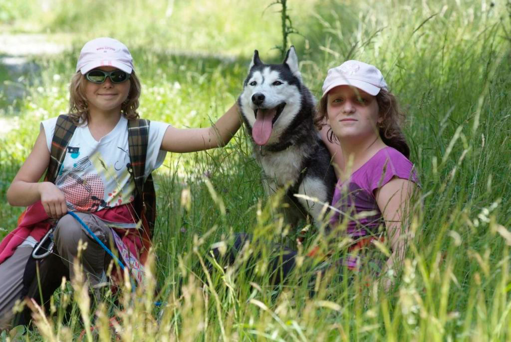 Musheuses au repos et husky pas farouche ! (Sarah et Marine)