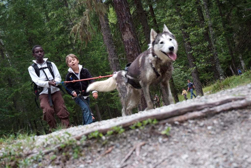 Vous faites quoi les gars ? Du husky nautique ?!  (Hamidou et Louis)