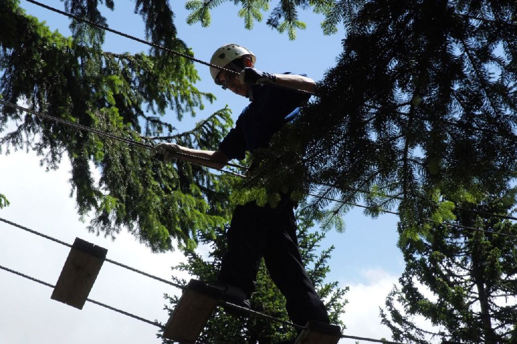 Housseyn, entre deux branches de mélèzes, s’essaie avec succès aux marches d’altitude !