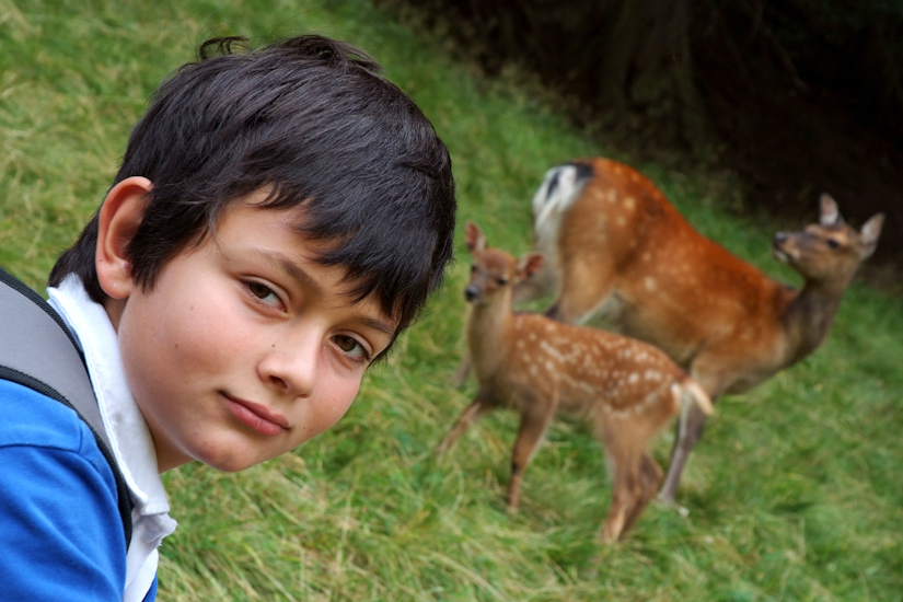 Je ne savais pas que tu jouais dans le remake de Bambi Jean-Baptiste ?