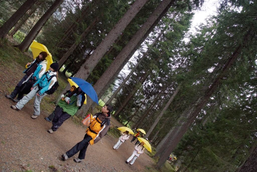 Petite troupe en piste et cents troncs sous la pluie !