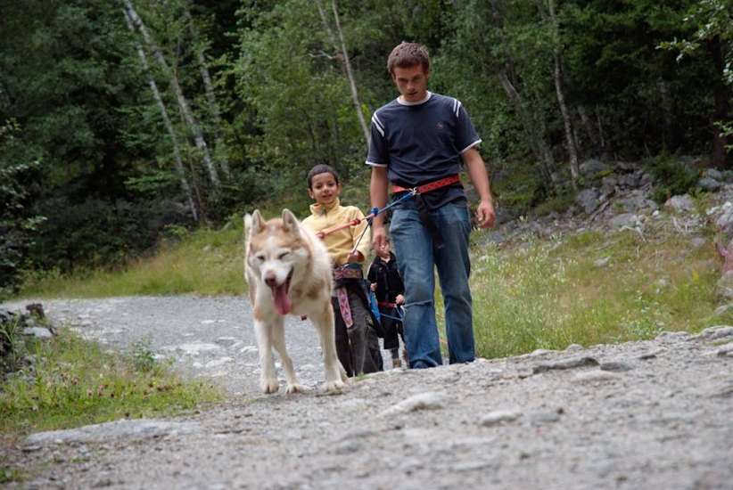 Maat est très fort en cani-rando, d’ailleurs il a le maillot jaune !