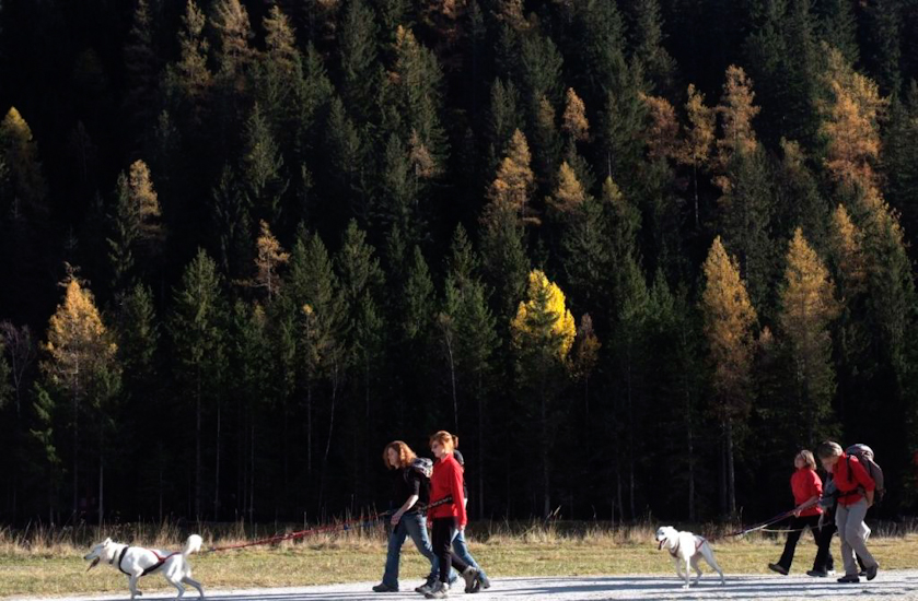 L’automne ensoleillé pose ses touches colorées un peu partout au dessus de nos têtes, un vrai bonheur !