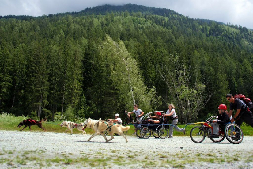 Départ en ligne dans le canidrome à ciel ouvert de Chamonix ! Tous les équipages au coude-à-coude !