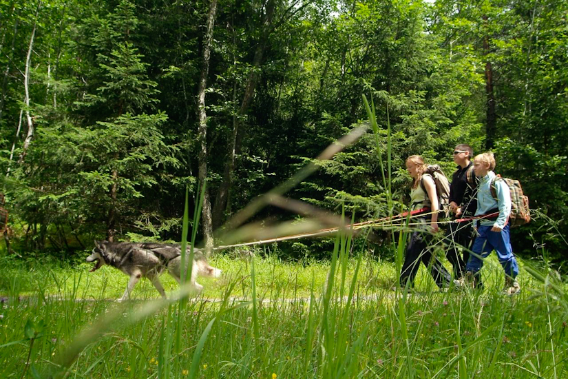 Musheurs en herbes ! Justin, Daniel et Ségolène.