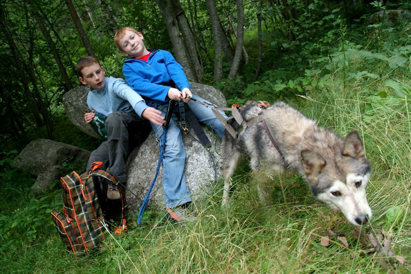 On te l’avait bien dit qu’il détestait les paparazzis !