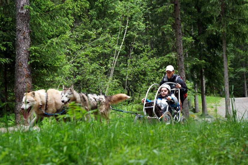 Encore une dernière traversée en forêt et on rentre, OK Elodie ?