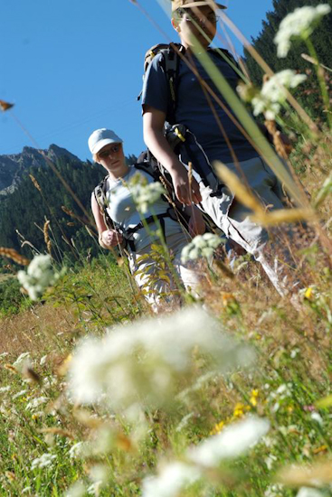 Ilias et Céline sont partis à la cueillette aux jolies fleurs chamoniarde, il y a de quoi ramasser !