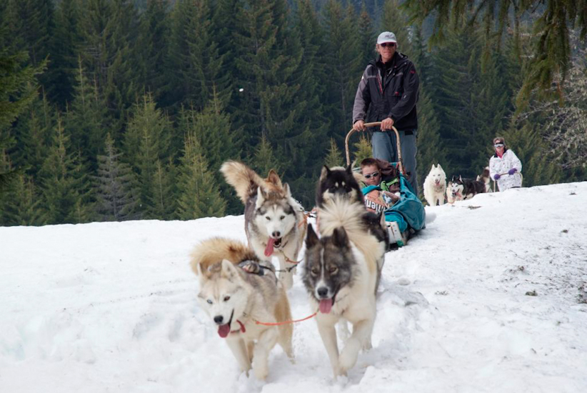 Quentin part à l’abordage des montagnes avec sa troupe favorite !