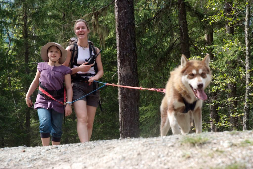 C’est bien finalement la randonnée avec les huskies, une fois qu’on a pris le coup ! (Manon)