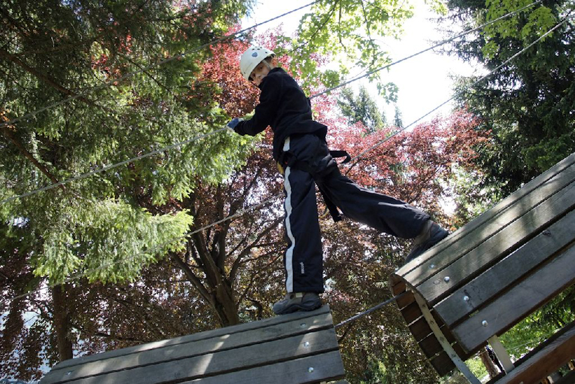 Aussi haut que les arbres multi-colorés, Thibaut est le roi de la forêt !