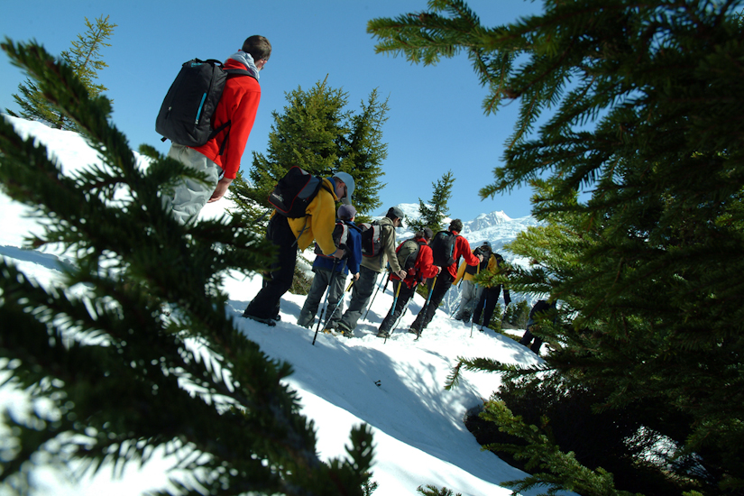 N’oubliez pas de dire au revoir aux sapins les enfants, vous allez leur manquer !