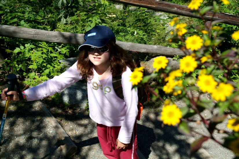 Fleurs des montagnes !