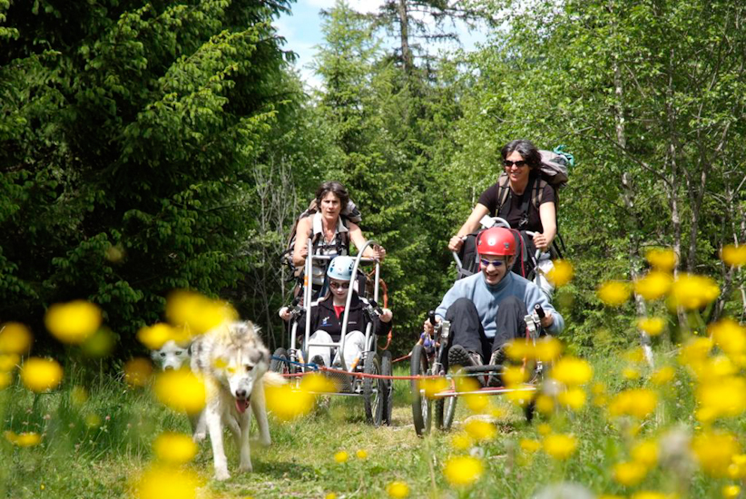 Un petit sprint pour dégourdir les jambes des huskies, c’est génial !