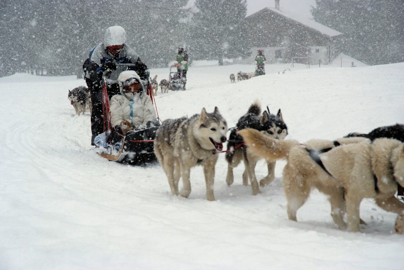 Un dernier virage pour la route et on rentre au chalet ! (Alicia et Safiya)