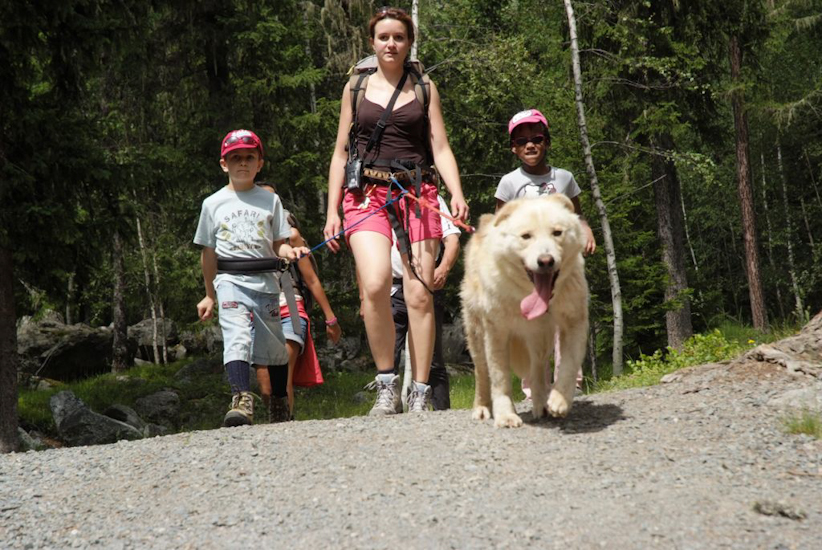 Ce husky va avoir sa langue qui va toucher le sol bientôt ! (Martin, Lise et Anna-Jhyn)