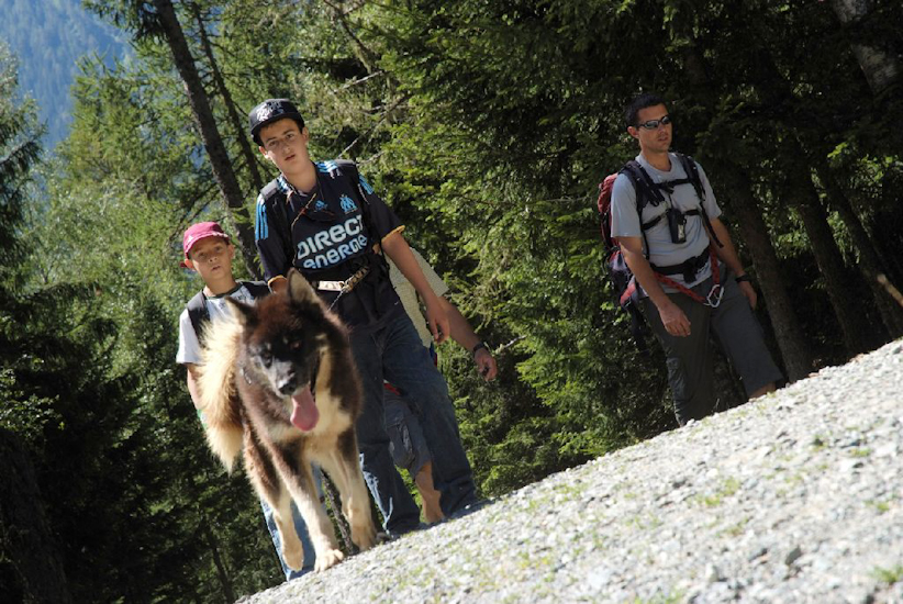 C’est renversant la cani-rando !