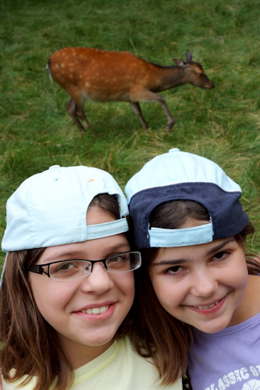 Qu’est-ce qu’on fait quand on a Bambi au-dessus de nos têtes ? (Elsa et Marie-Line).