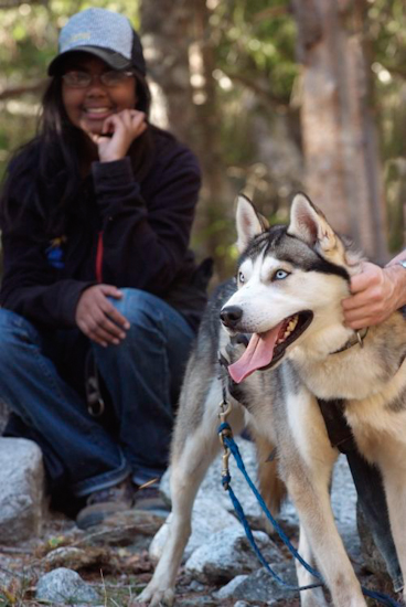 Cani-randonneuse en station assise sous le regard bleu acier de son pilote canin !