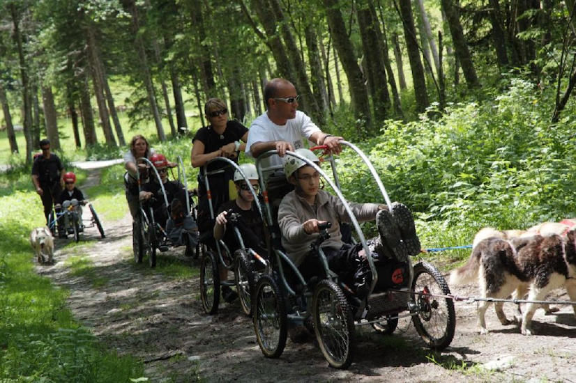 Nouveau départ dans la fraîcheur bienvenue du sous-bois !