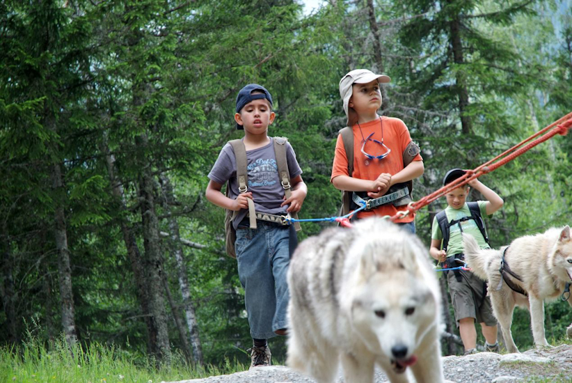 Allez on repart et ce sont toujours les huskies qui tirent…quelle vie de chien ! (Ilias et Pierrick).