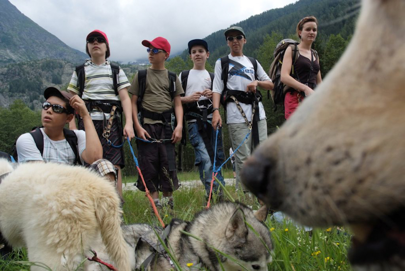 Les garçons, vous attendez que les chiens récupèrent un peu ? (Aldaberto, Arnaud, Robin, Sébastien et Quentin)