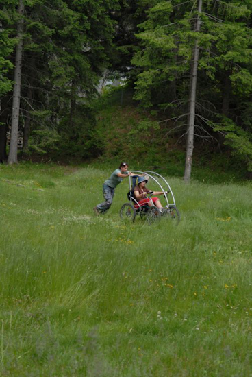 Le petit FTT dans la prairie