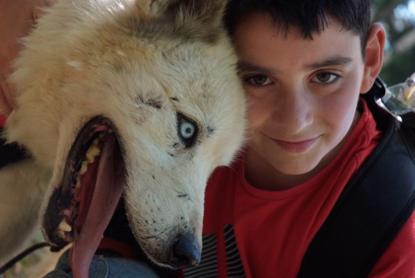Dernier câlin de chaque musher à son compagnon du jour ! (Maël)