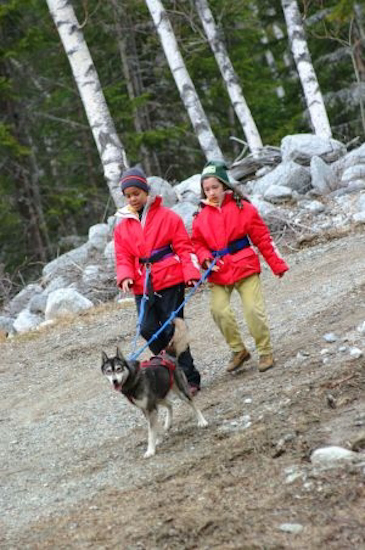 Attention dans les descentes ! L’équipage Swane-Maïté a un huskie dans le moteur !