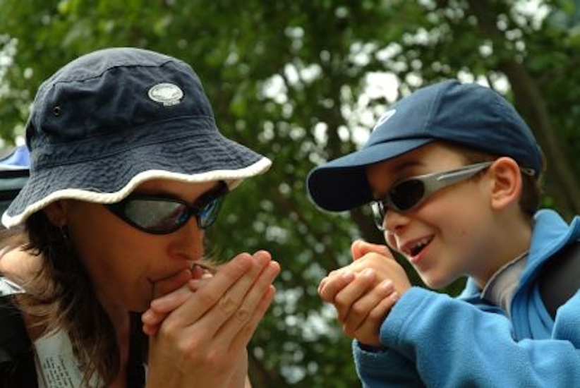 Antoine n’y croit pas, il est en train d’apprendre le langage des oiseaux !