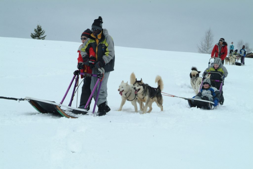 Tidiany, excelle dans le rôle de musher !