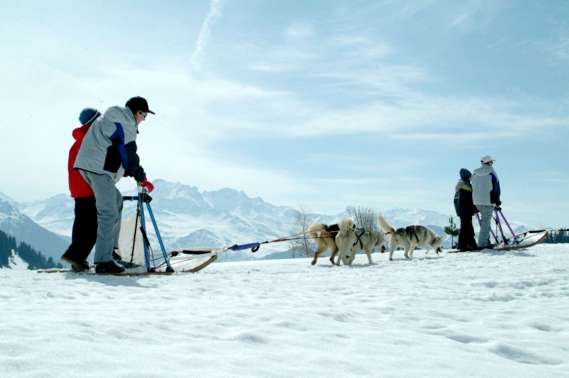 Il est interdit d’aboyer en montagne pour dépasser !
