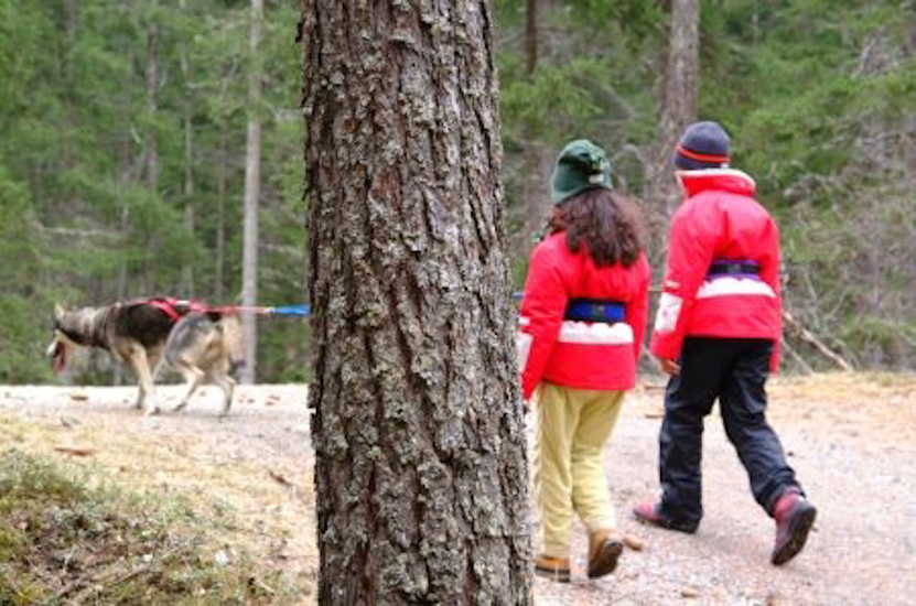 Mini musheuses mignonnes en action…