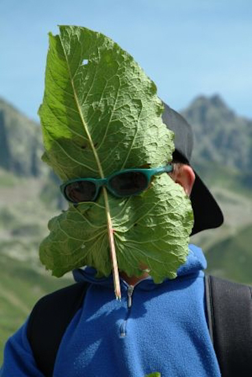Dis donc Valentin, il est mal passé ton petit déj ?