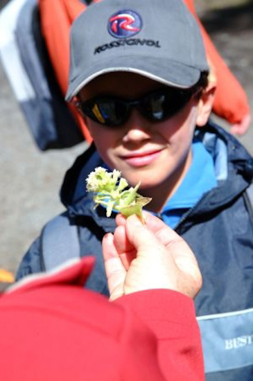 A chaque pause, Nicole nous fait une fleur : elle nous donne un cours de Montagne appliquée…