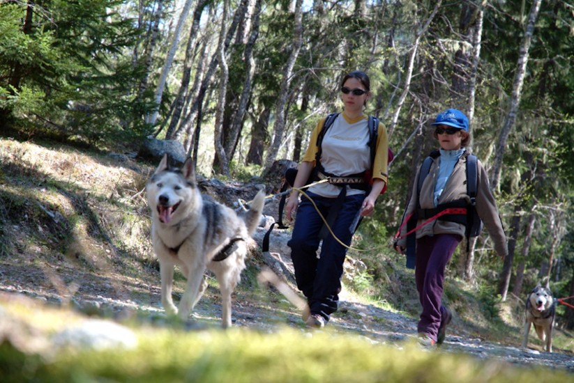 Allez Elodie, il y a encore de la route !