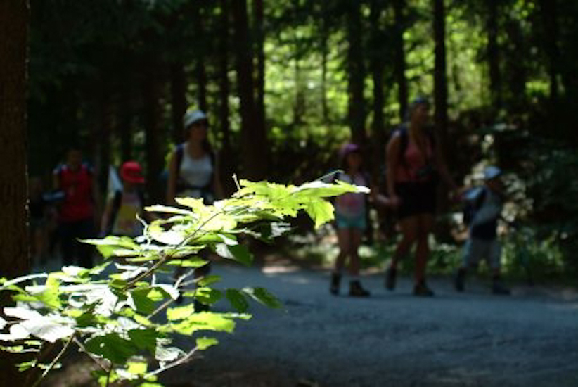 Après chaque pause et vérification de l’équipement, c’est reparti de plus belle à travers la forêt.