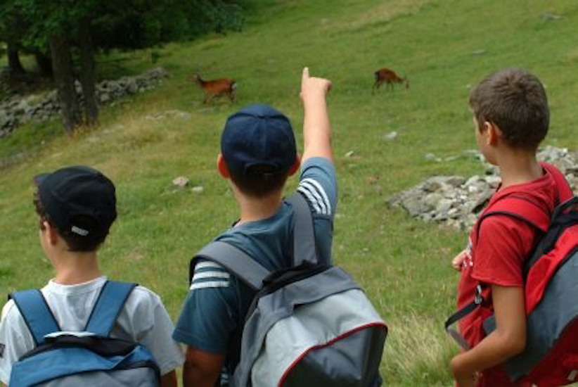 A la pause, Valentin, Jordan et Théo ont repris du poil de la bête ; les voilà admirant une biche et son faon.