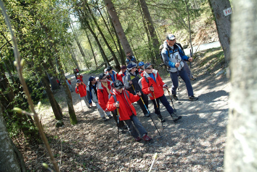 La promenade en forêt continue, mais les amateurs de golf vont bientôt être servis !