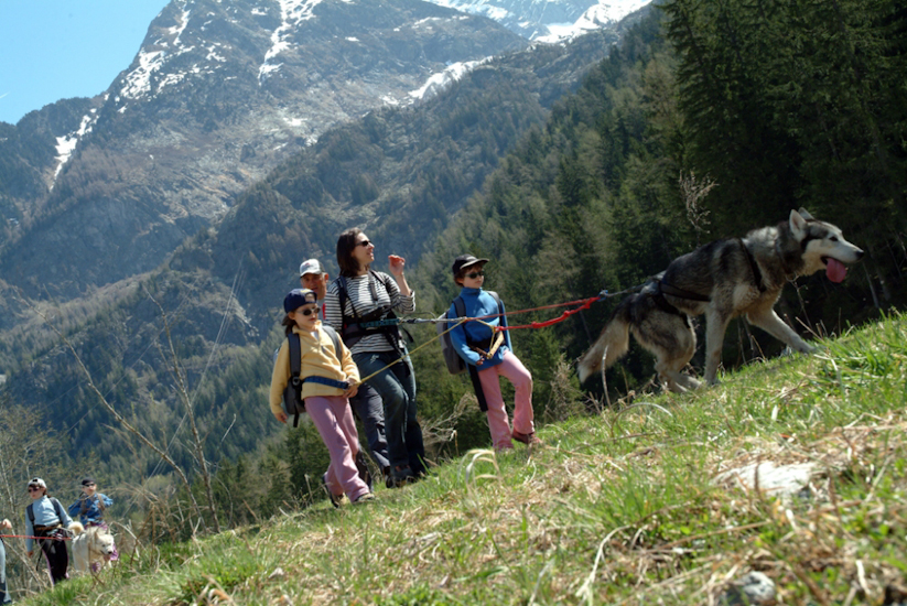 Allez on rentre car cet après-midi, on marche mais sans les chiens !