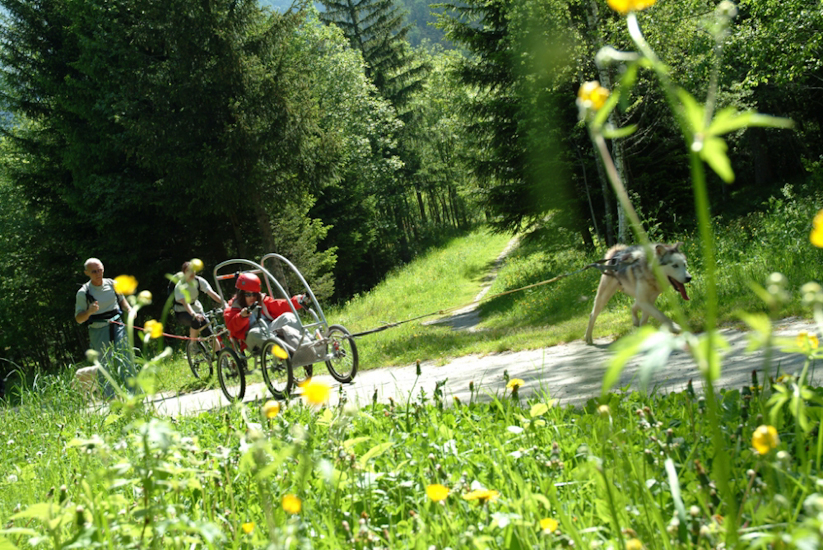 Allez, encore un effort et l’arrivée est au bout du chemin !