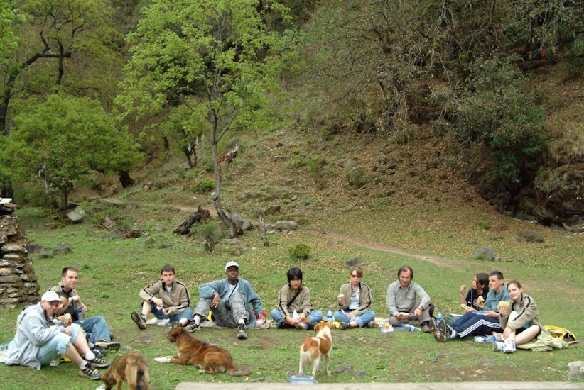 Pique-nique bucolique ! / Bucolic picnic