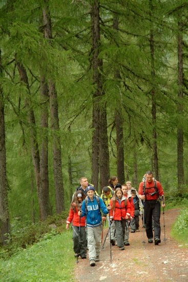Allez, on laisse les arbres derrière nous et on continue notre route, mais toujours pas de sommet en vue !